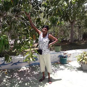  Apartment Paradise Place Jamaica